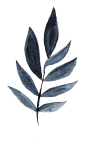 靛蓝色可爱的手绘仙人掌 植物 png素材