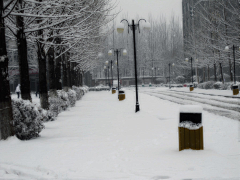 水公采集到雪   X