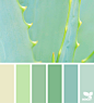 Design Seeds : Design Seeds color palettes ... posted daily for all who love color.