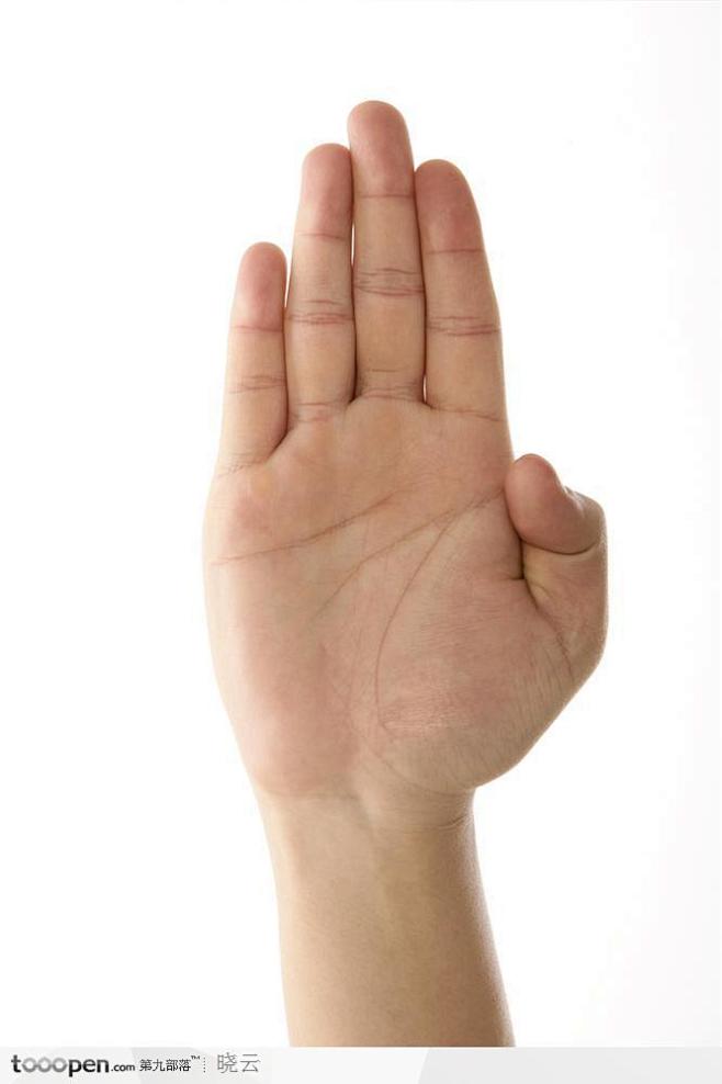 手势喻意举手发言五指并拢的手