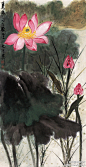 谢稚柳 作品《荷塘红莲》