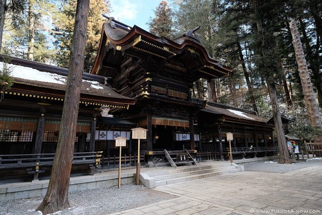 “shinto shrine”的图片搜索...