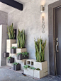 Cool idea for showcasing outdoor plants