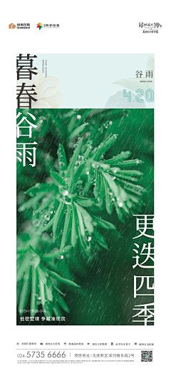 SAN/GU采集到谷雨/雨水/清明