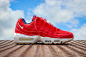 Nike Air Max 95 "USA"