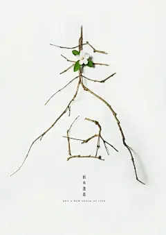 连央妈都点赞的海报，设计绝了！ - 小红书