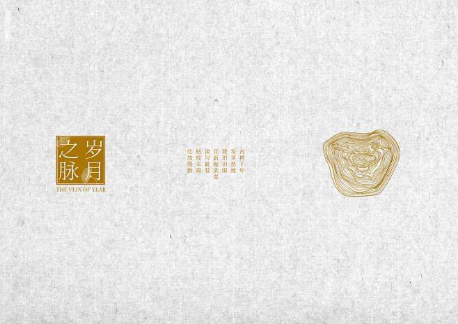 岁月之脉 The Vein of Yea...