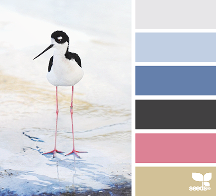 Design Seeds® | for ...