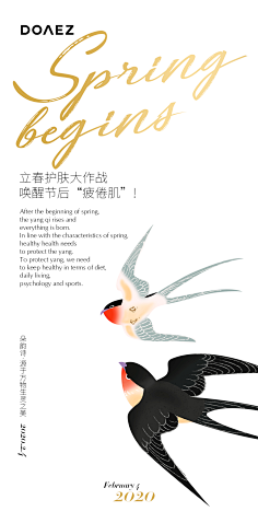 周一的早晨下着雨采集到板式