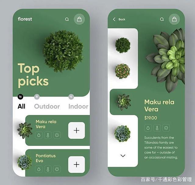 好看的色彩搭配方案—绿色