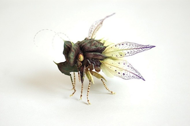 幻想昆虫标本，由树脂和黄铜制作~艺术家：...