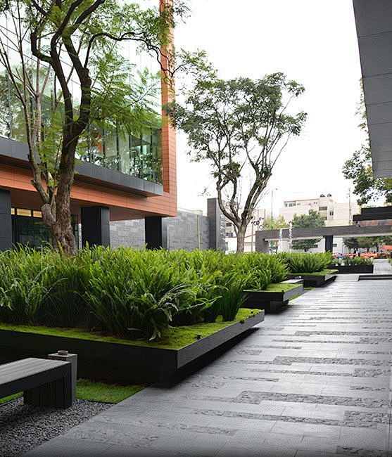 coyoacan-corporate-c...