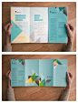 brochure: 