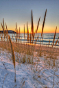 Lake Michigan ... Leland sunset ~ beach grass view, Whaleback Point, Michigan by Ken Scout