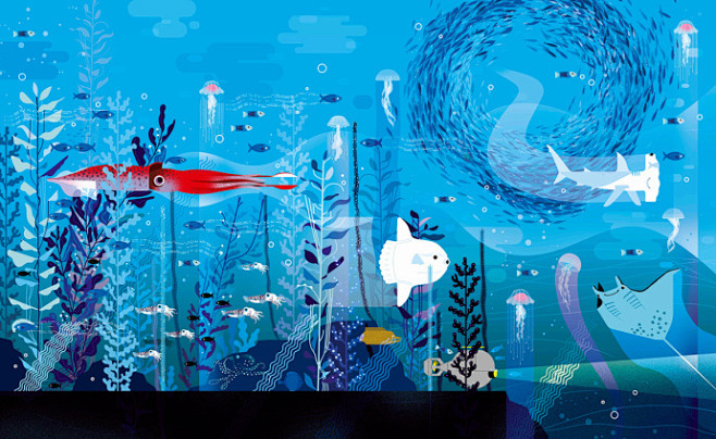 #插了个画# 海底世界。by 法国插画家...