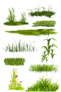 花草绿叶植物素材