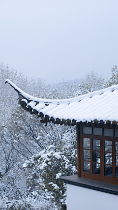 weishan维珊采集到风霜雨雪任流年