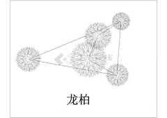 教皇2H采集到植物配置