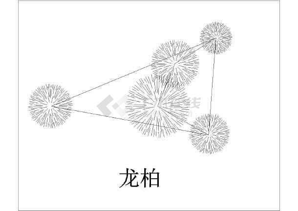 6种经典园林植物配置小品设计图纸_cad...