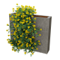 石头花坛中开满黄色花朵的小冠花植物3D模型（OBJ,FBX,MAX） 