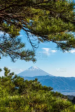 富士山,风景,自然美,世界遗产,云景,背景分离,空中缆车,云,雪,不关心