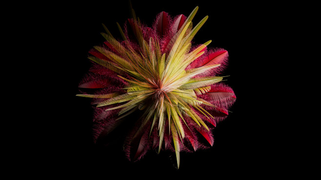 01_Feather_01_DS_v12...