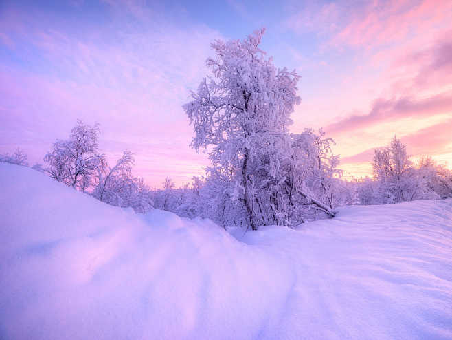 The Beauty of Winter...