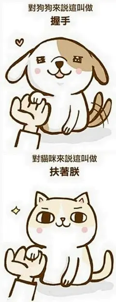 【狗和猫的区别】狗的心理活动是，有一个人天天供我吃供我喝供我住还经常给我洗澡，嗯，他一定是神！猫的心理活动是，有一个人天天供我吃供我喝供我住还经常给我洗澡，嗯，我一定是神！