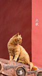 #爱上这座城#今日立秋
：盼望着盼望着，秋终于来了！
：但还没出伏，参观时还是要注意防暑哦~ ​​​​