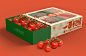 水果番茄包装设计