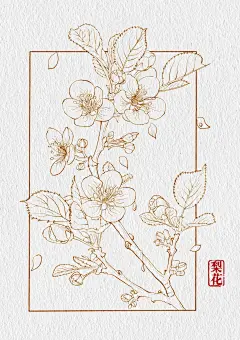 控笔练习（2/100）花卉篇 - 小红书