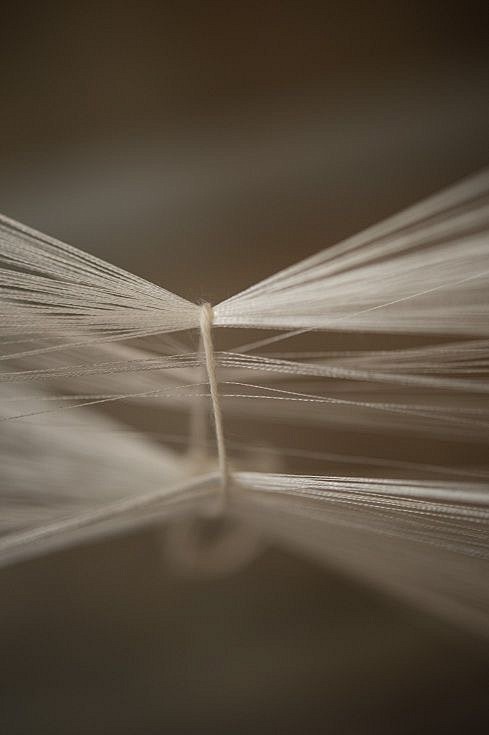 IMG_1605(20220818-15...
