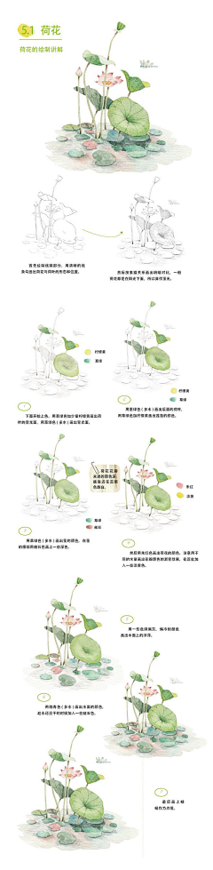 我有左耳采集到知识/学习/教程