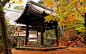 京都圆光寺