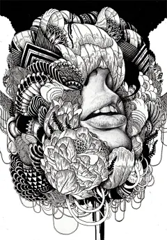 macarthur漂亮的铅笔人像插画