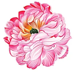 892b52f39157f458154c5cedda0e54b0