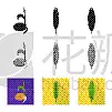 农业,分离着色,计算机图标,一个物体,大麦,食品,面粉,尖的,玉米,糠