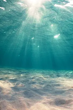 时光，若水，总是无言徘徊在凄然与落寂的青葱季节里，羞涩打过，给我清瘦的年华，染上太多沧桑与无奈。
