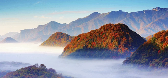 神农架林区人民政府