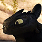 #toothless# 九张无牙仔_(:3 via notcommondragons.Trumblr
