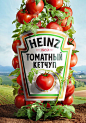 Heinz on Behance