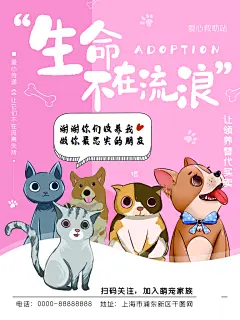 宠物商店海报寄养兽医狗猫粮食柯基金毛