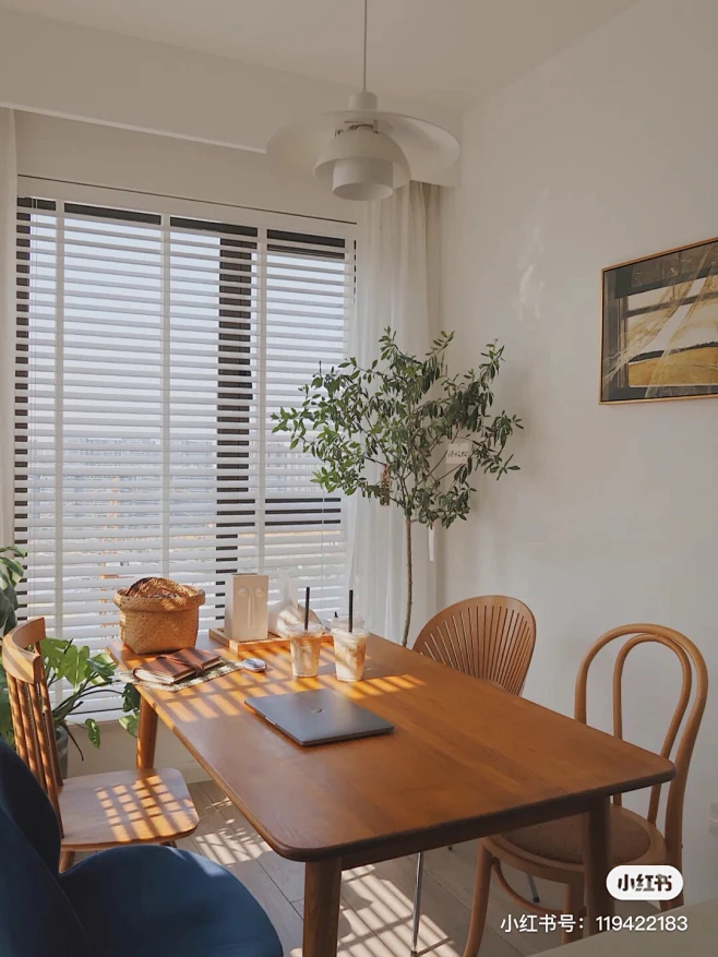 家居内的花瓣采集图片-叁黙