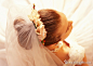 婚礼情景 - Arting365 iMS素材共享平台 - 分享，发现好素材