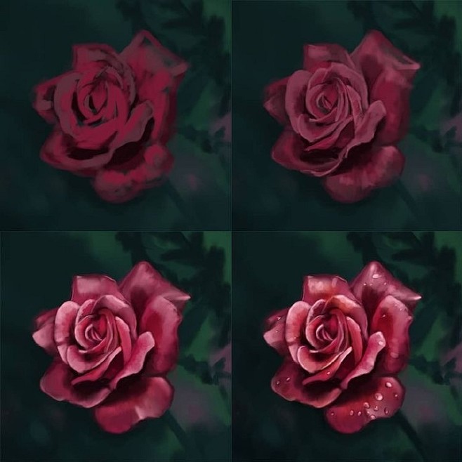 蔷薇玫瑰的画法 ​ ​​​​