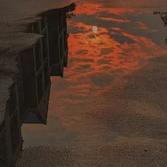 麻雀壁纸的微博_微博