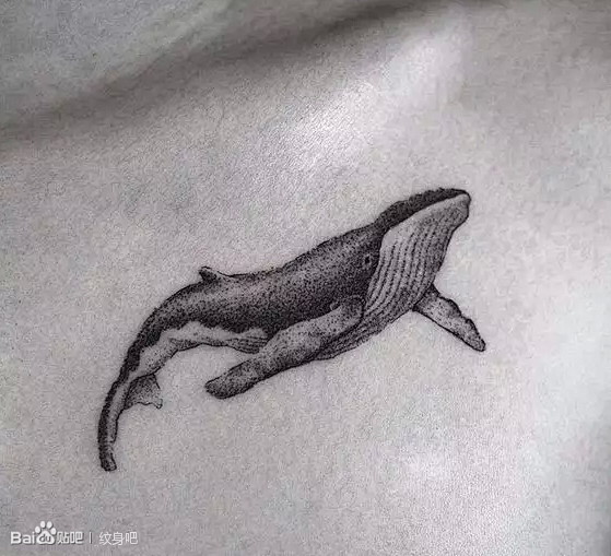 鲸鱼纹身刺图案