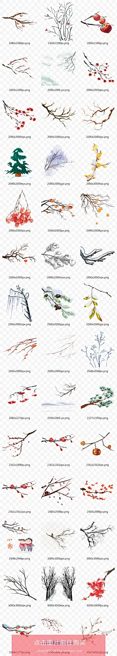 冬季冬至被雪覆盖的远山和树枝插画手绘柿子树冻柿子下雪冬天N404