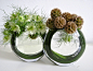 floristry | Tumblr