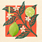 A - Z Food & Drink Illustrations. Part I : A - Z food and drink illustrations